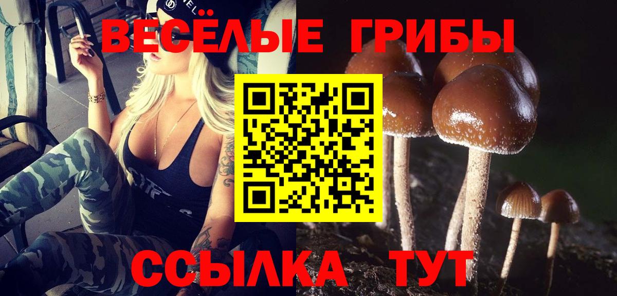 Псилоцибиновые грибы мицелий  где купить   Кандалакша  Вход с VPN  Галлюциногенные грибы Magic Shrooms 